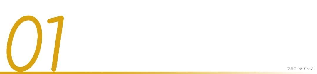 星空体育app-冲着周杰伦“一轮游”来,却嗑起了澳网和国窖1573的CP